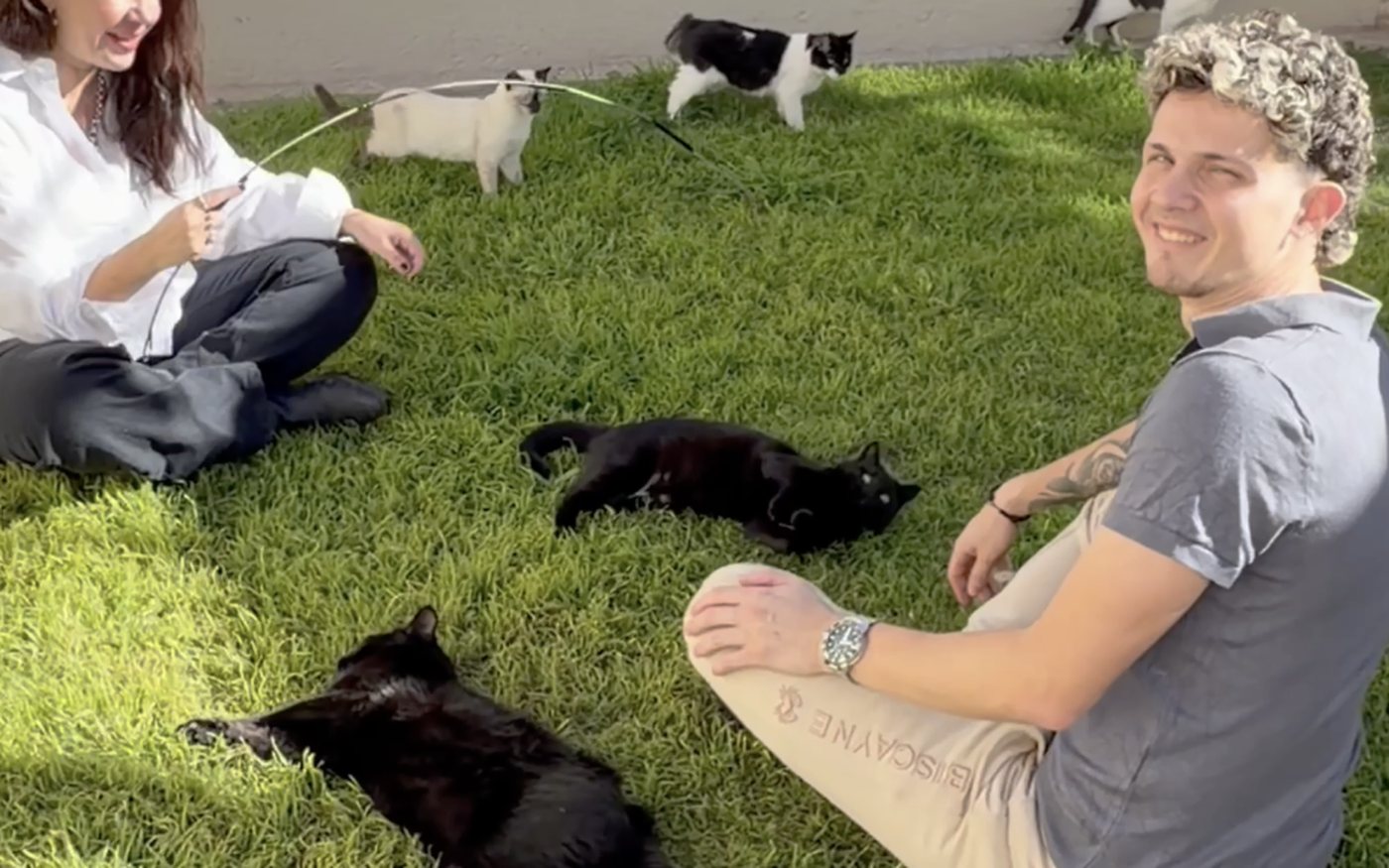 Paula y Juan sentados en el pasto del catio, rodeados de gatos al sol