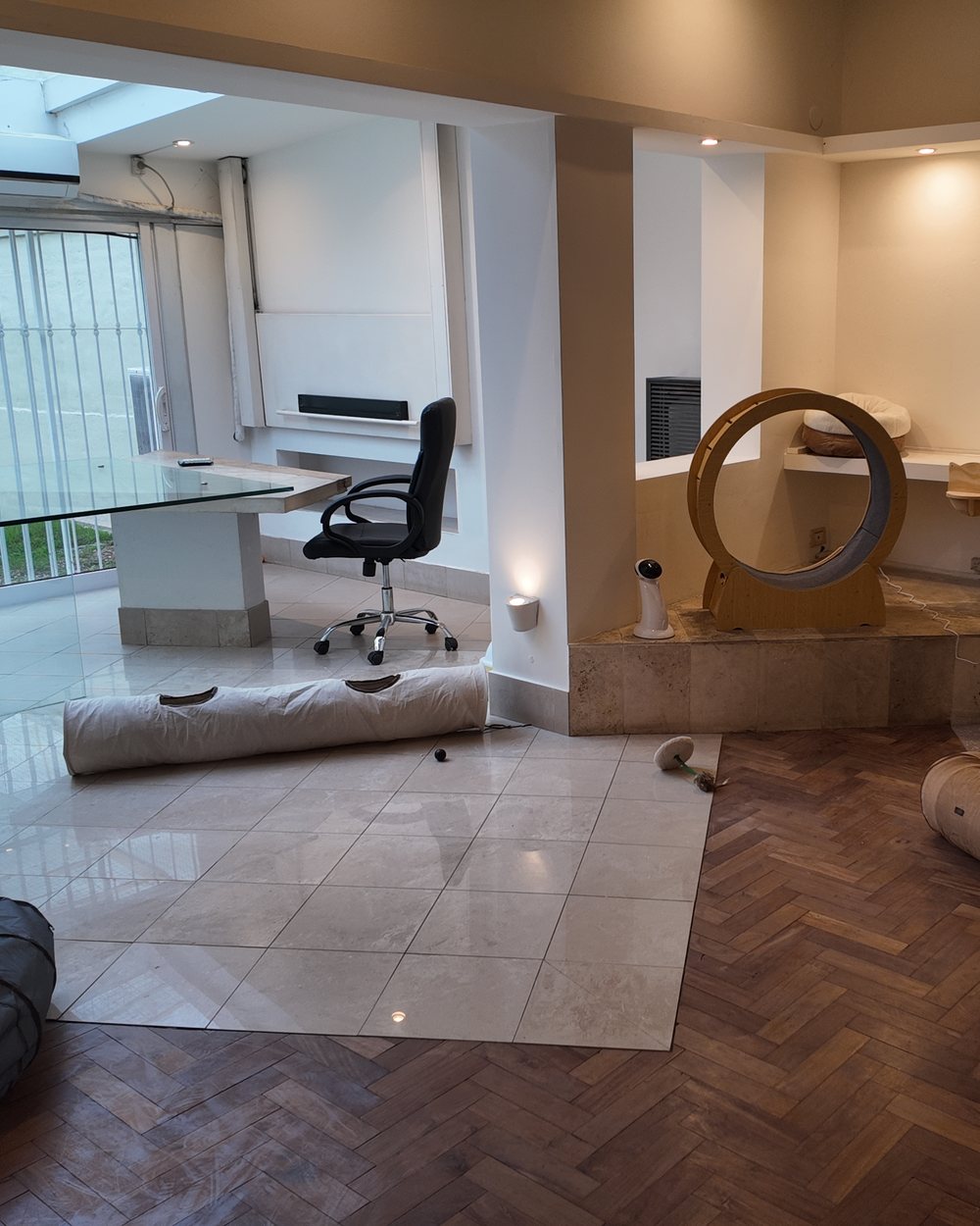 La Sala Micio con piso de parquet, rueda para gatos y ventanal