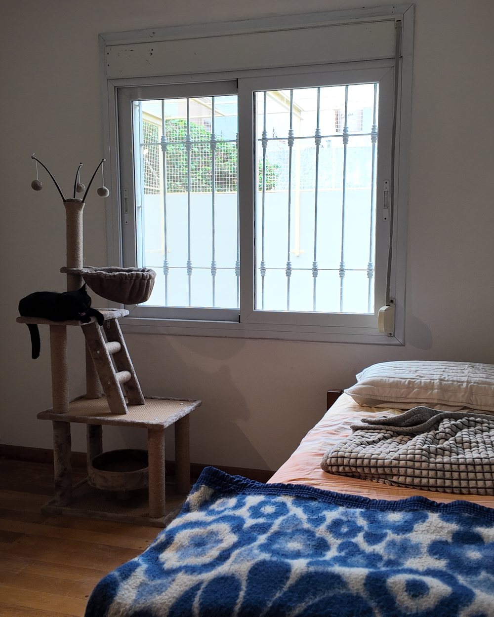 Sala privada luminosa con cama y rascador junto a la ventana