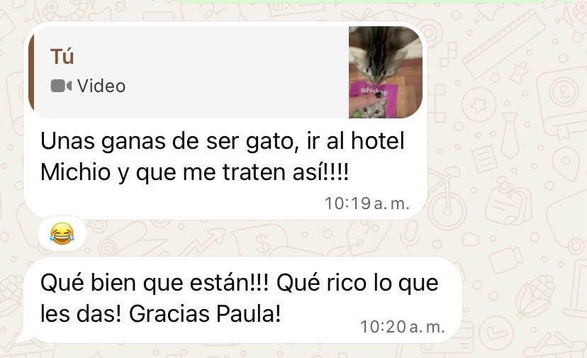 Chat de WhatsApp: Unas ganas de ser gato, ir al hotel y que me traten así!!!! Qué bien que están!!! Qué rico lo que les das! Gracias Paula!
