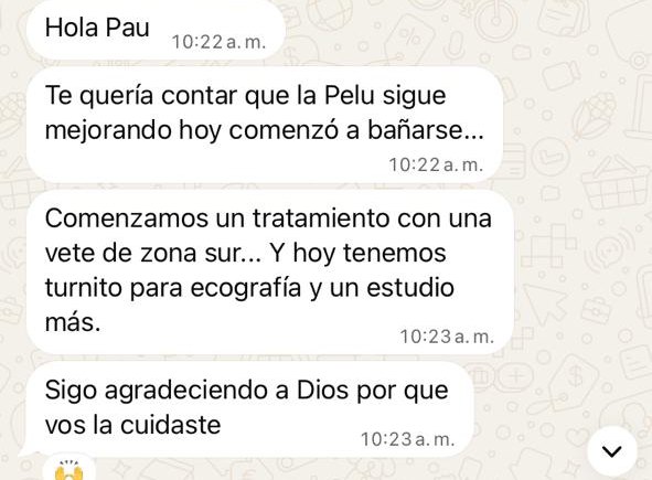 Chat de WhatsApp sobre la Pelu: Te quería contar que la Pelu sigue mejorando, hoy comenzó a bañarse. Sigo agradeciendo a Dios por que vos la cuidaste