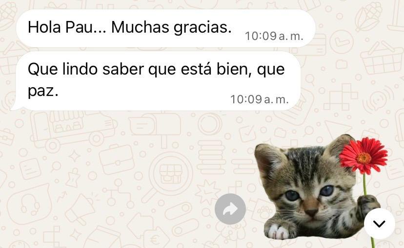 Chat de WhatsApp: Hola Pau, muchas gracias. Que lindo saber que está bien, que paz.