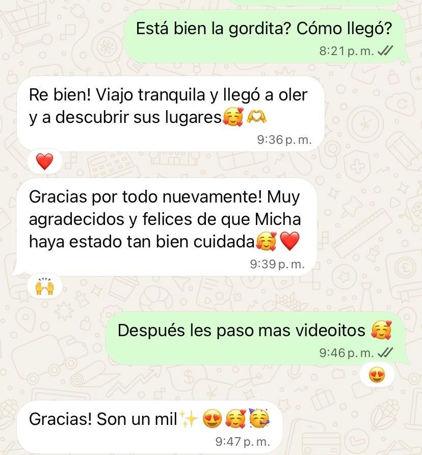 Chat de WhatsApp: Re bien! Viajo tranquila y llegó a oler y a descubrir sus lugares. Gracias por todo nuevamente! Muy agradecidos y felices de que Micha haya estado tan bien cuidada. Gracias! Son un mil